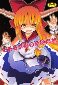 A Certain Suika Bacchanalia manga cover